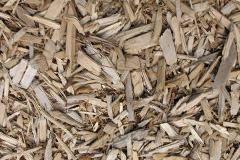 biomass boilers Muchelney